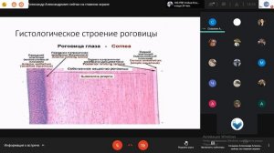 Гистология. Лекция. Органы зрения.