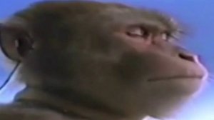 Очень громкая музыка! Отомсти соседям