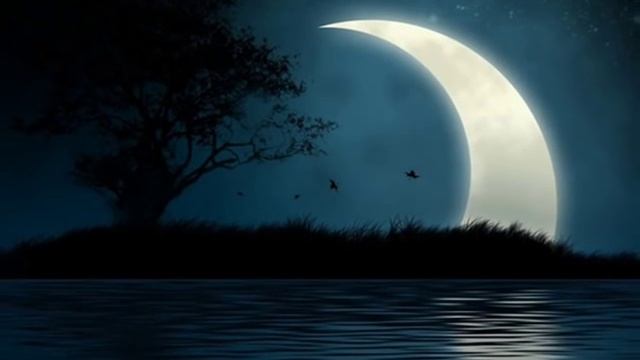 Спи, моя внученька! Читает Наталия Черноусова стихи Галины Пятисотских смотреть онлайн