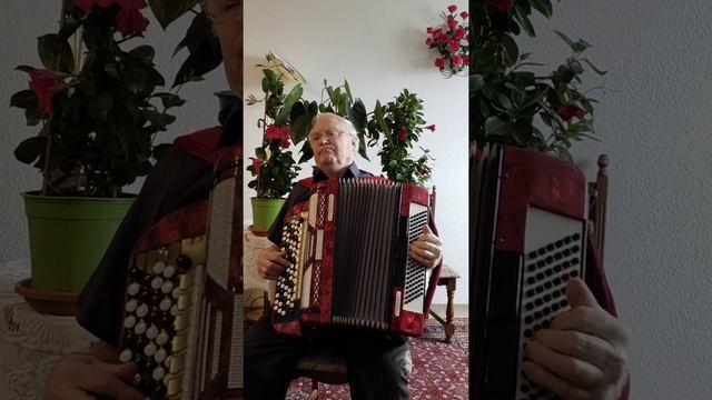 Мои друзья цыгане. смотреть онлайн