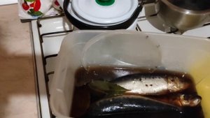 Иваси пряного посола. Проверка рецепта- от посола до дегустации. + Небольшой обзор моей заморозки..