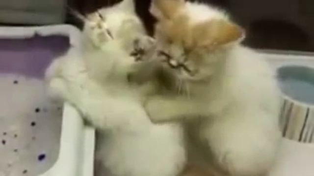 Прикол, какой масаж смотреть онлайн