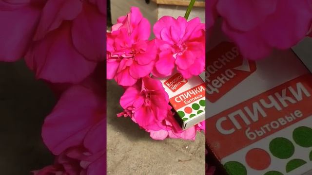 РАЗМЕР ИМЕЕТ ЗНАЧЕНИЕ! ? смотреть онлайн