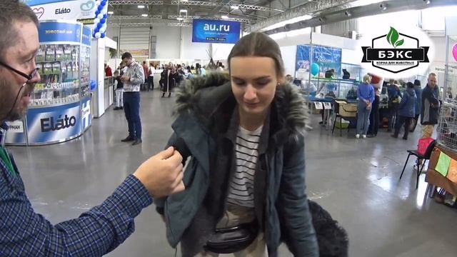 РУССКАЯ ПСОВАЯ БОРЗАЯ. можно ли содержать в квартире?! (мнение владельца) смотреть онлайн