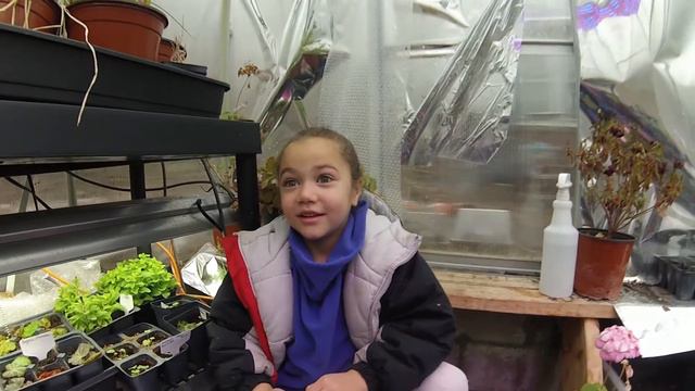 Update on the Greenhouse and Maple Syrup Season смотреть онлайн