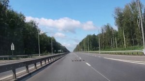 Осторожно! Пешеходы! Утки на трассе)))