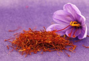 Шафран (специя) / Saffron / Как это растет