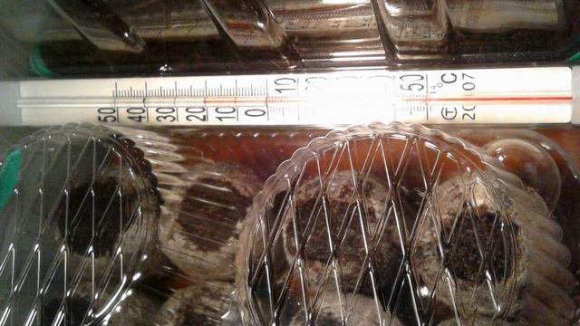 Проращивание семян смотреть онлайн