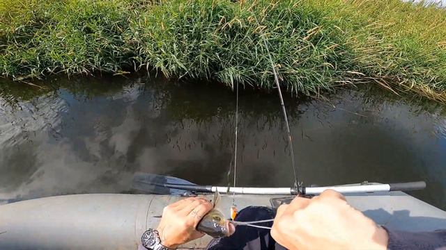 ХОЧЕШЬ МНОГО ГОЛАВЛЯ ТОГДА СМОТРИ смотреть онлайн