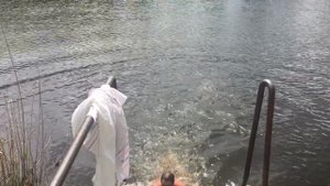 Баня село новая Усмань воронежской области