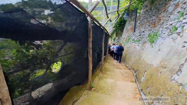 Лимонная тропа, Амальфитанское побережье, Италия