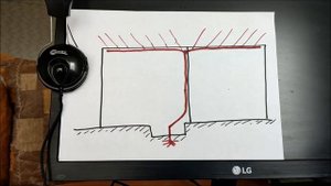 Виноград на арке, перголе, беседке  Какой выбрать