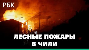 В Чили начались масштабные лесные пожары