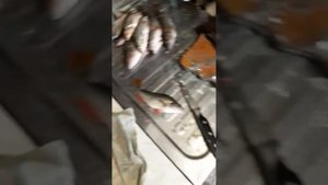 Как почистить окуня