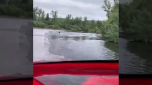 Шерпа 500 мотор 80 джет