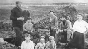 Наташкин бор стихи Николая Полотнянко