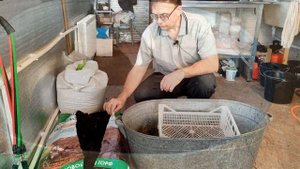 Биогумус (вермигрунт) + торф + агроперлит = лучший грунт для выращивания растений!