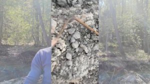 Ленточный фундамент. Заливка. Армирование. Бетонная подушка.