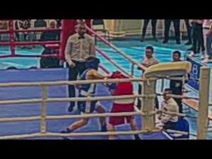 Соревнования по боксу | Новичок забил Новичка