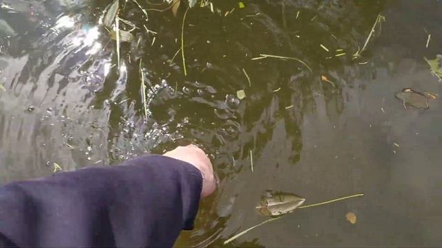 Ловлю рыбу на палец смотреть онлайн