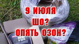9 июля.  Очередная доставка с Озон