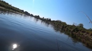 КАКУЮ КАТУШКУ ДЛЯ РЫБАЛКИ ВЫБРАТЬ. DAIWA или SHIMANO. КАТУШКА НА СПИННИНГ