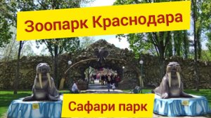 Сафари парк _ Лучший зоопарк Краснодара. Звери со всего мира