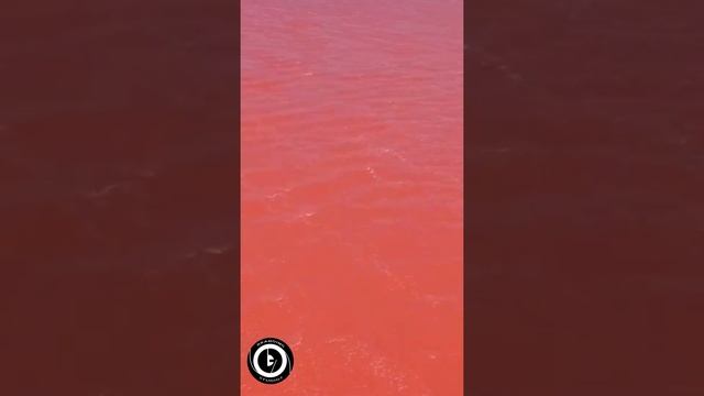 Hillier Lake | Beautiful Pink Lake on Middle Island