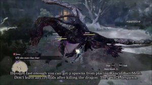 Dragon's Dogma: Dark Arisen - RC Farming Method