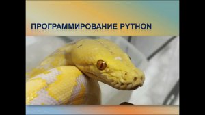 Почему Python?