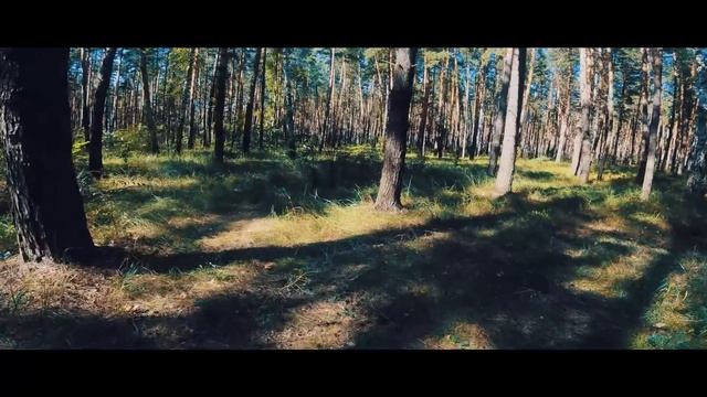 Секретная Война СССР Архивы Мертвеца. Эпизод первый смотреть онлайн