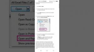 Repair Excel File | Excel File Corrupted And Cannot Be Opened