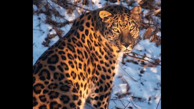 Эти места созданы для съёмки пейзажей Фотопутешествия по России