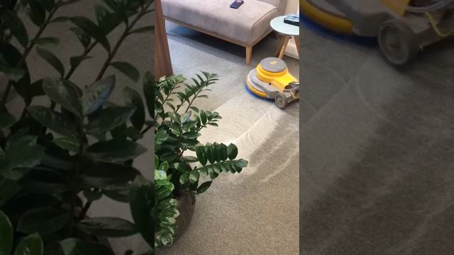 Химчистка ковролина смотреть онлайн