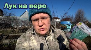 Выращиваем на грядке лук на перо