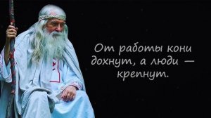 Короткие, но Невероятно Мудрые Русские Пословицы и Поговорки.Цитаты, афоризмы, мудрые мысли.