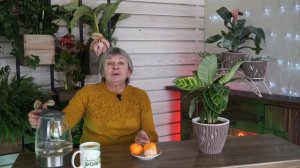 Кожура мандарина ✔️ Подкармливает растения и отпугивает вредителей ✔️