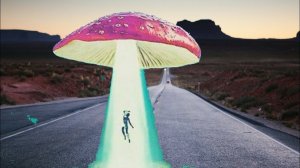 Мухомор 50 грамм (КАК РАЗБОГАТЕТЬ мухоморное откровение)