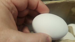 Яйца цена пятерочка 149 рублей в Казани