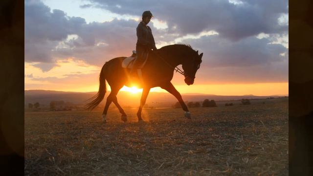 STURMKLANG Impressions смотреть онлайн