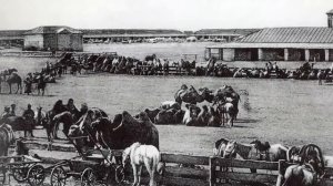 Оренбургская область