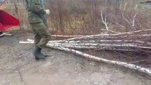Измельчитель деревьев DW-40.  Измельчение после вырубки.mp4