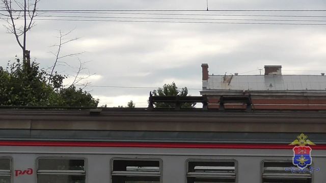 1.1. Профилактический видеоролик