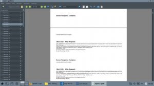 Irbby Web Scanner for Astra Linux. Часть 6. Формирование отчета. Полные результаты сканирования.