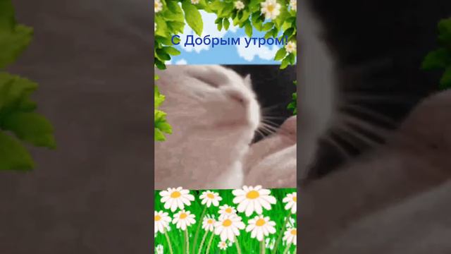 С добрым утром!