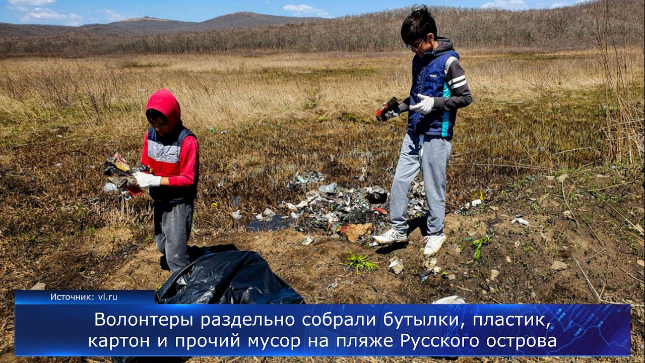Волонтёры раздельно собрали бутылки, пластик, картон и прочий мусор на пляже Русского острова