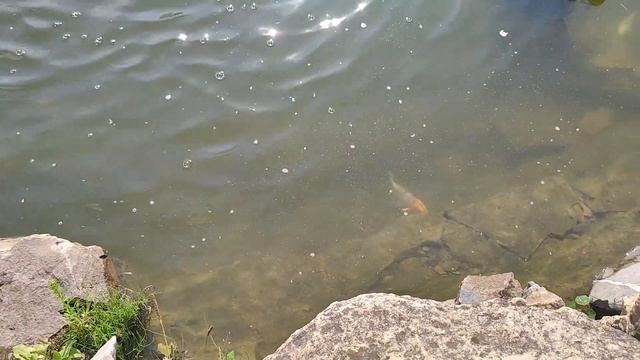 КАЗАНЬ 2022 ДЕНЬ 3 "Океанариум" смотреть онлайн