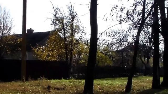 Черноземное.                        Владимир Король.