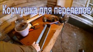 Кормушка для перепелов своими руками //  Перепелки в домашних условиях