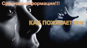 Как поживает  враг #таро #медитация #справедливость